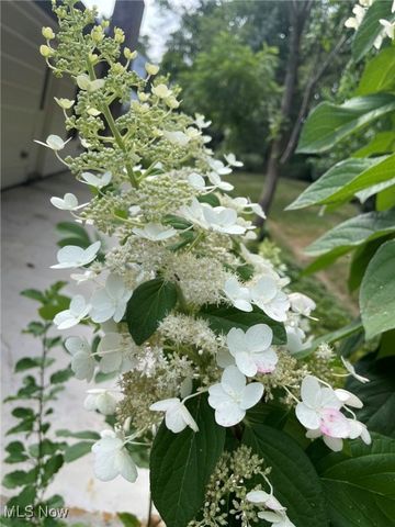 294 South Park Drive, Aurora, OH 44202