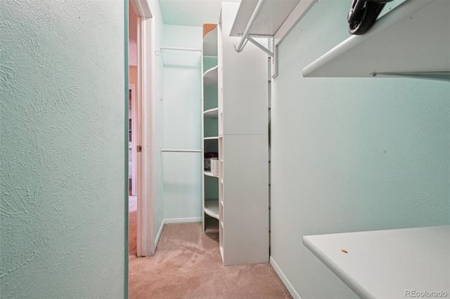 5824 S Kline Street, Littleton, CO 80127