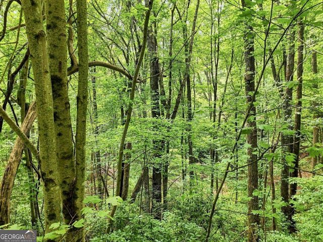 LT 27 Deer Crest Road 27, Blue Ridge, GA 30513