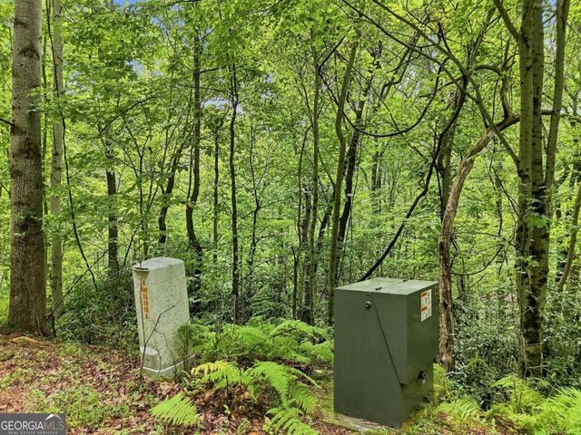 LT 27 Deer Crest Road 27, Blue Ridge, GA 30513
