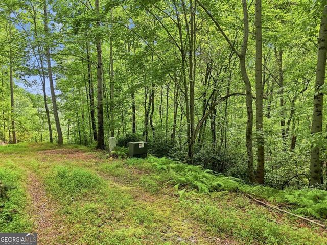LT 27 Deer Crest Road 27, Blue Ridge, GA 30513