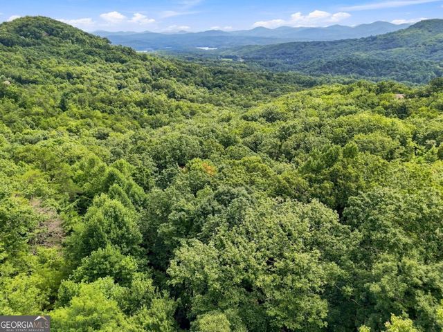 LT 27 Deer Crest Road 27, Blue Ridge, GA 30513