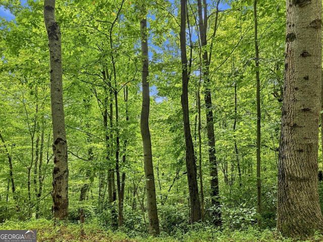 LT 27 Deer Crest Road 27, Blue Ridge, GA 30513