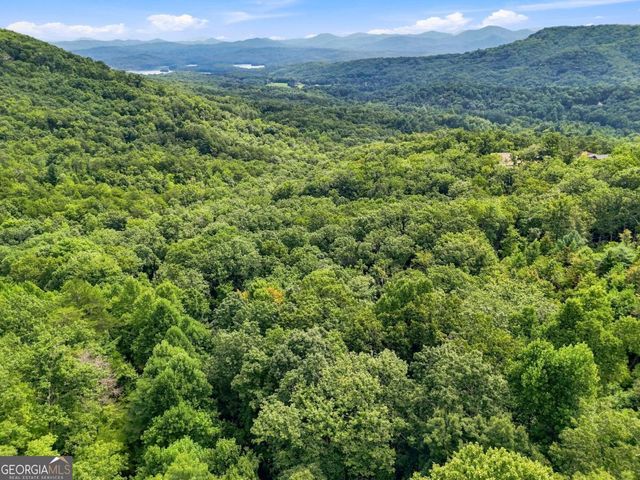 LT 27 Deer Crest Road 27, Blue Ridge, GA 30513