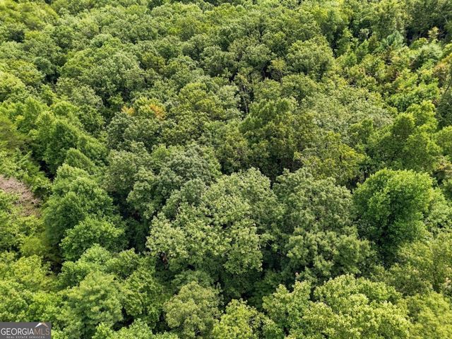 LT 27 Deer Crest Road 27, Blue Ridge, GA 30513