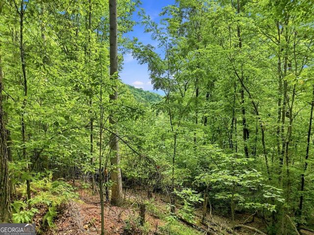 LT 27 Deer Crest Road 27, Blue Ridge, GA 30513