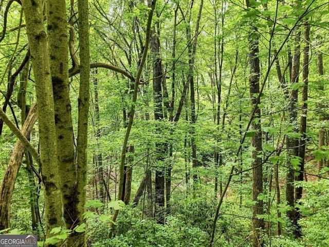 LT 27 Deer Crest Road 27, Blue Ridge, GA 30513