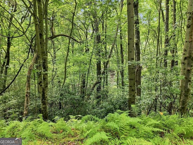 LT 27 Deer Crest Road 27, Blue Ridge, GA 30513