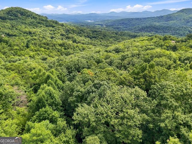 LT 27 Deer Crest Road 27, Blue Ridge, GA 30513