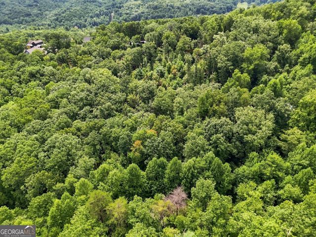 LT 27 Deer Crest Road 27, Blue Ridge, GA 30513