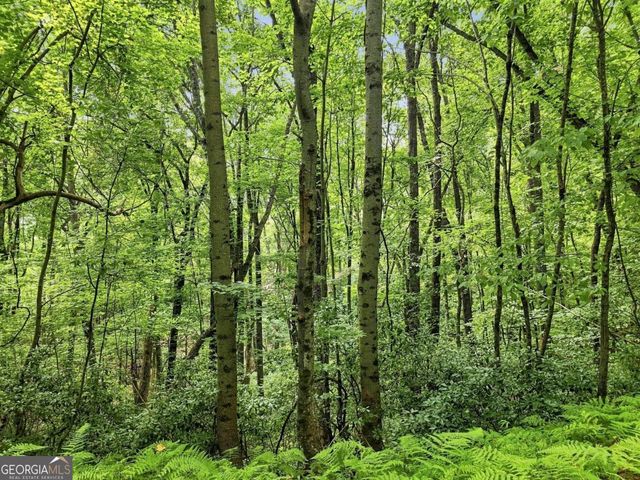 LT 27 Deer Crest Road 27, Blue Ridge, GA 30513