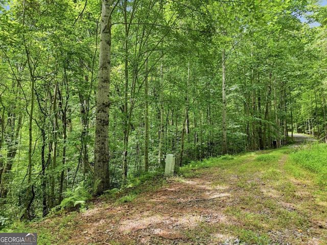 LT 27 Deer Crest Road 27, Blue Ridge, GA 30513