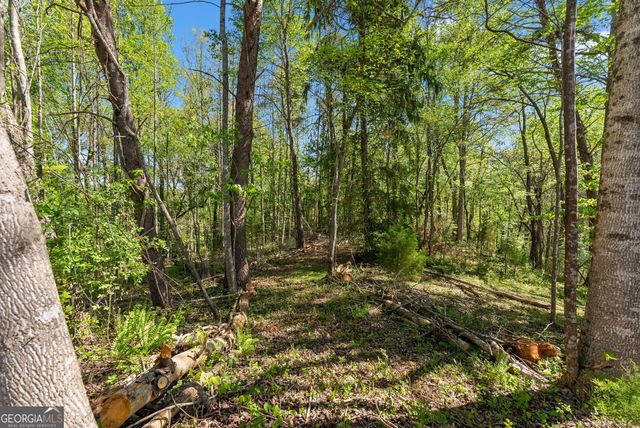 153 Trackrock Gap Road, Blairsville, GA 30512