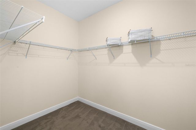 19819 WADING CRANE WAY, Lutz, FL 33558