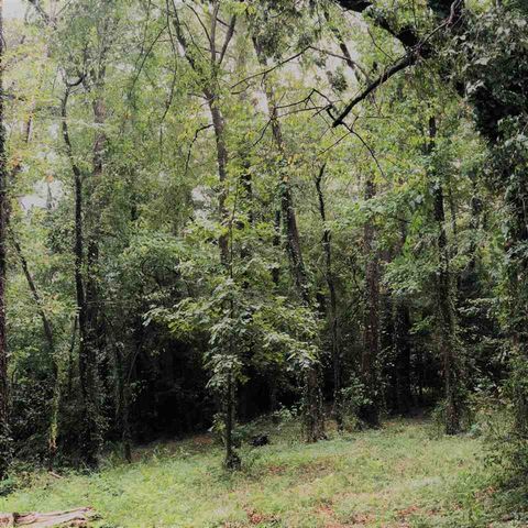 Douglass Drive, Jackson, MS 39216