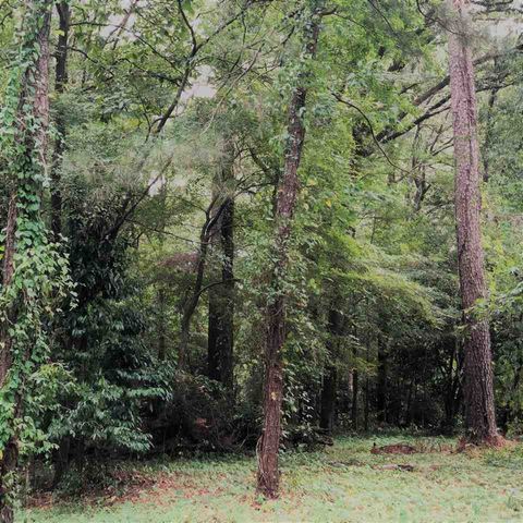 Douglass Drive, Jackson, MS 39216