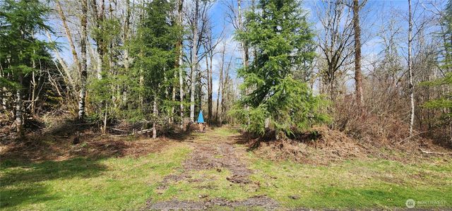 285 Justus Rd, Cinebar, WA 98533