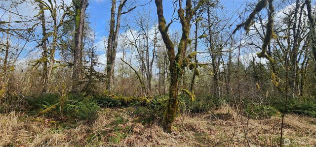 285 Justus Rd, Cinebar, WA 98533