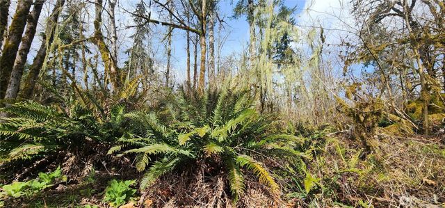 285 Justus Rd, Cinebar, WA 98533