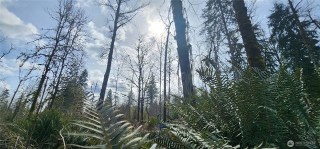 285 Justus Rd, Cinebar, WA 98533