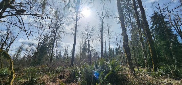 285 Justus Rd, Cinebar, WA 98533