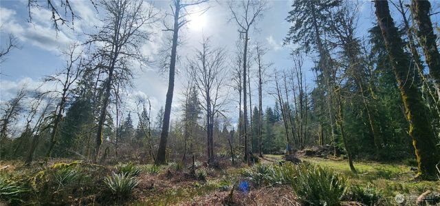 285 Justus Rd, Cinebar, WA 98533