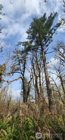 285 Justus Rd, Cinebar, WA 98533