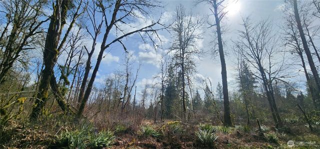 285 Justus Rd, Cinebar, WA 98533