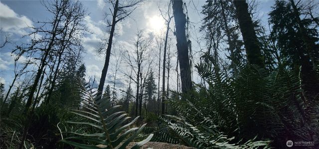 285 Justus Rd, Cinebar, WA 98533