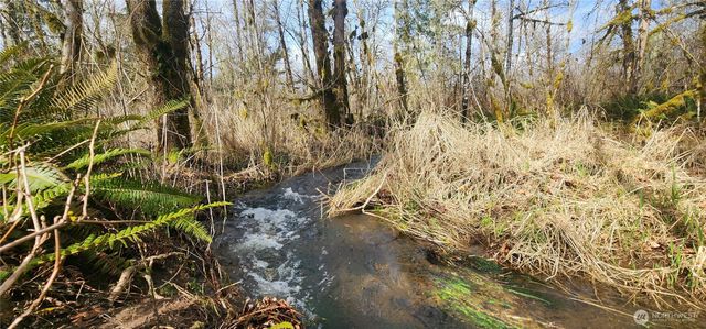 285 Justus Rd, Cinebar, WA 98533