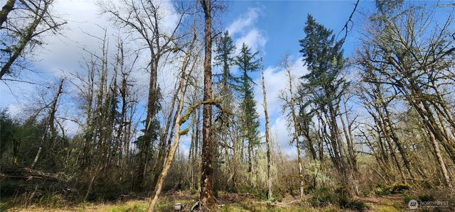 285 Justus Rd, Cinebar, WA 98533