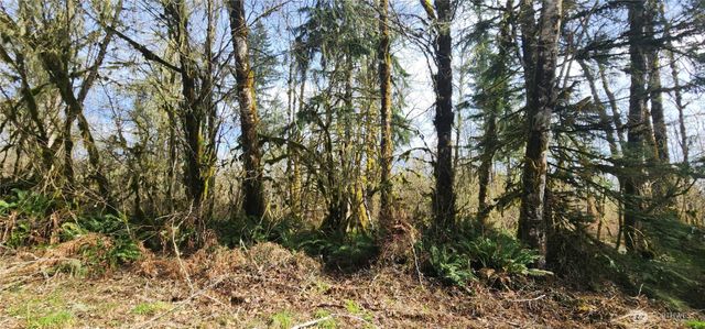 285 Justus Rd, Cinebar, WA 98533