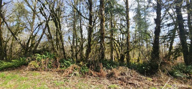 285 Justus Rd, Cinebar, WA 98533