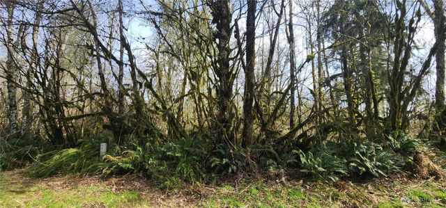 285 Justus Rd, Cinebar, WA 98533