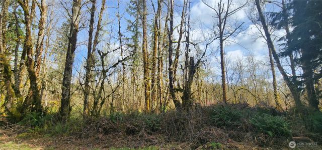 285 Justus Rd, Cinebar, WA 98533