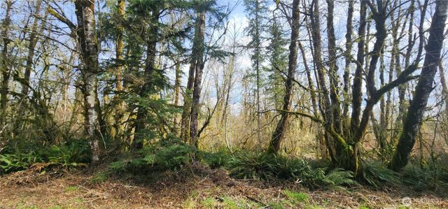 285 Justus Rd, Cinebar, WA 98533