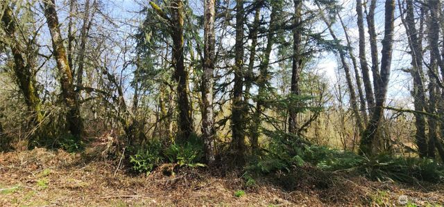 285 Justus Rd, Cinebar, WA 98533