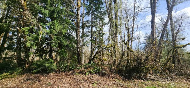 285 Justus Rd, Cinebar, WA 98533