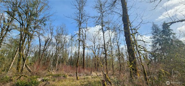 285 Justus Rd, Cinebar, WA 98533