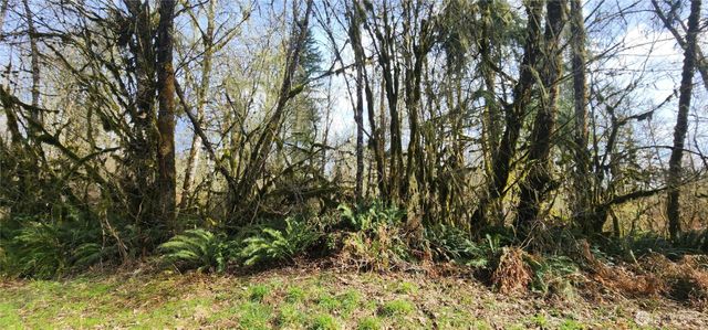 285 Justus Rd, Cinebar, WA 98533