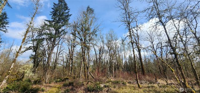 285 Justus Rd, Cinebar, WA 98533