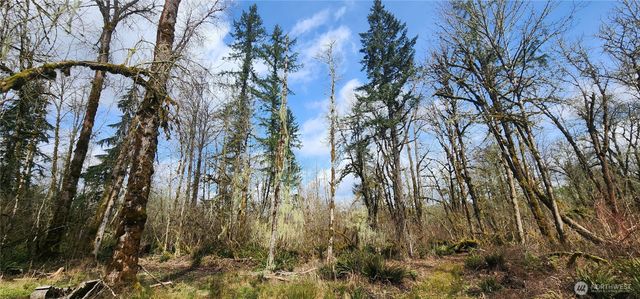 285 Justus Rd, Cinebar, WA 98533