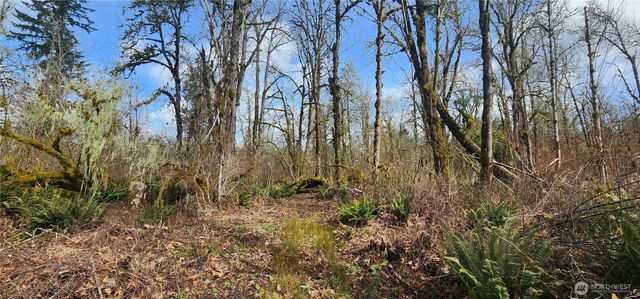 285 Justus Rd, Cinebar, WA 98533