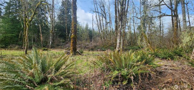 285 Justus Rd, Cinebar, WA 98533