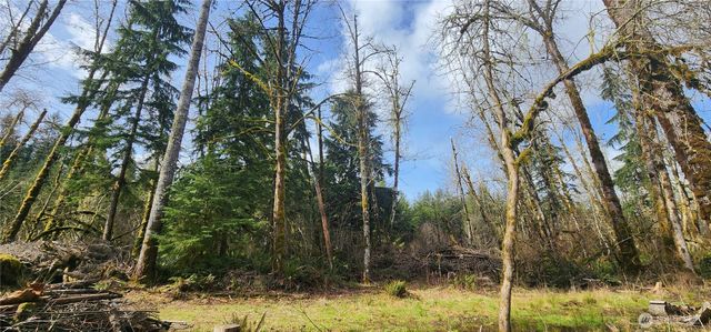 285 Justus Rd, Cinebar, WA 98533