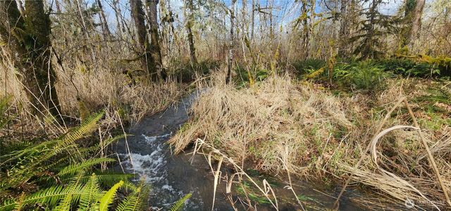 285 Justus Rd, Cinebar, WA 98533