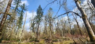 285 Justus Rd, Cinebar, WA 98533