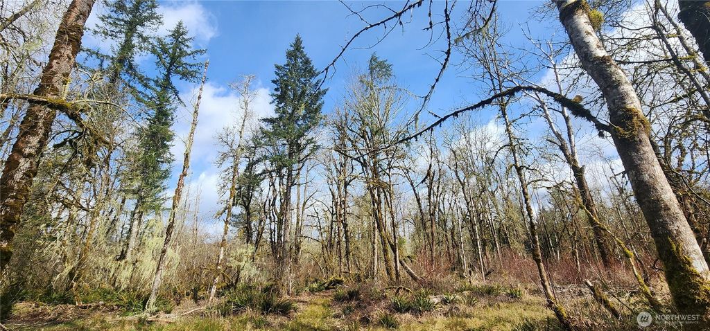 285 Justus Rd, Cinebar, WA 98533