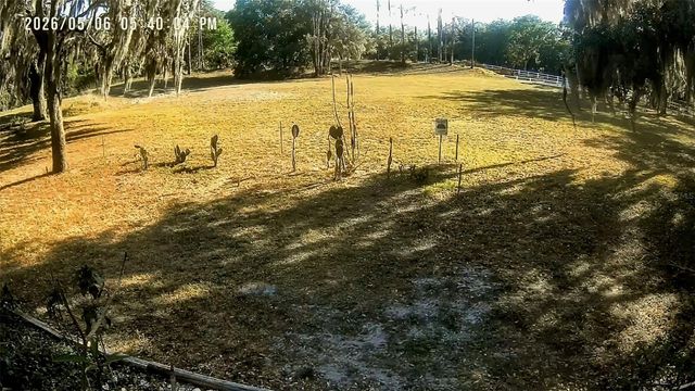 901 W RIVER DRIVE, Temple Terrace, FL 33617