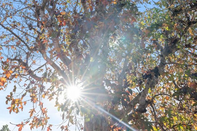 2258 Juan Pablo Lane, Santa Cruz, CA 95062